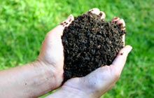 Two hands together holding a pile of brown topsoil.